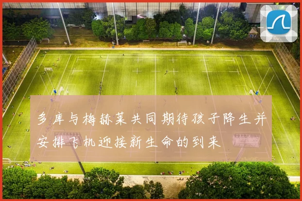 多库与梅赫莱共同期待孩子降生并安排飞机迎接新生命的到来
